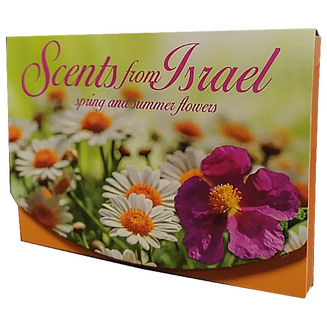 Scents from Israel Note Cards
